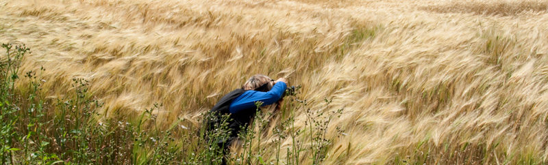 ccadieux_photographe_nature